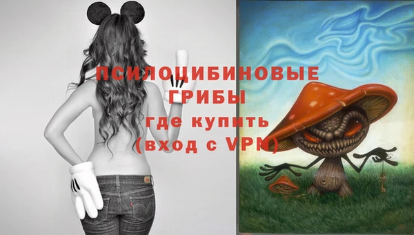 бошки Арсеньев