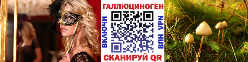 купить наркотики сайты  Поронайск  Псилоцибиновые грибы GOLDEN TEACHER 